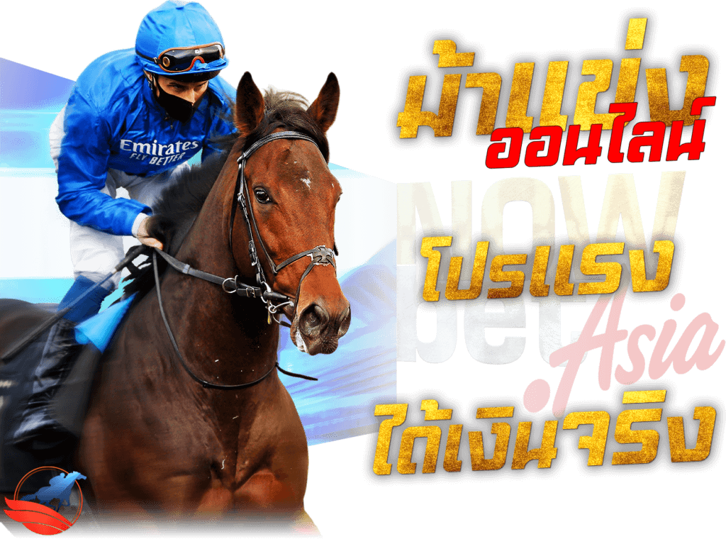 ม้าแข่งออนไลน์ แทงม้า โปรแรง ได้เงินจริง Horse Racing Betting Online Adayar (IRE) RCB988 45PLUS